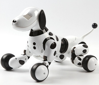 �������CE�J�C